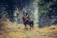 Кадр Бродяга