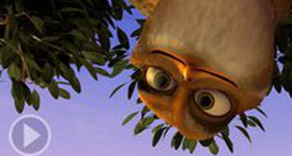 ТВ-ролик (русский) 