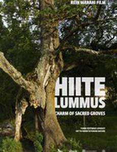 Тайная роща