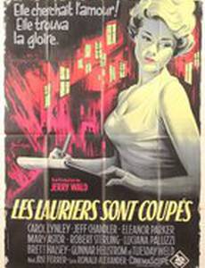 Возвращение в Пейтон Плейс