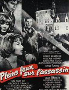 Весь свет на убийцу