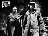 Кадр Собаки, хотите жить вечно?