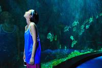 Кадр Рай океана