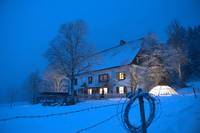 Кадр Ева: Искусственный разум