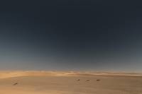 Кадр Черное золото