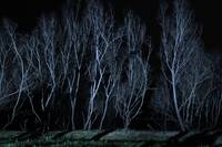 Кадр Длинный уик-энд