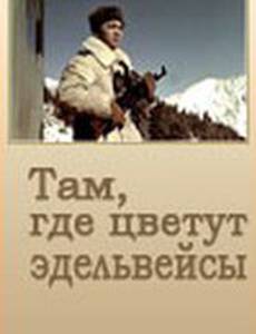 Там, где цветут эдельвейсы