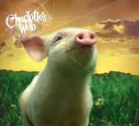 Постер Паутина Шарлотты