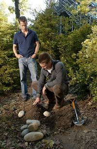 Кадр Дом по соседству