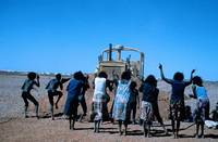 Кадр Там, где мечтают зеленые муравьи