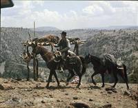 Кадр Представитель закона