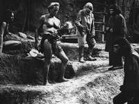 Кадр Планета обезьян