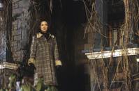 Кадр Уиллард