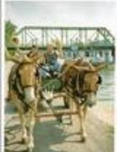 Along the Erie Canal