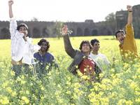 Кадр Цвет шафрана