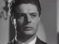 Кадр Собачья жизнь