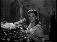 Кадр Ночные красавицы