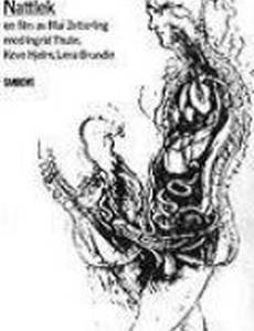 Ночные игры