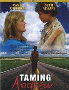 Когда Эндрю вернулся домой