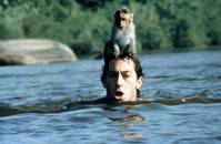 Кадр Страна обезьян