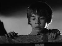 Кадр Франкенвини