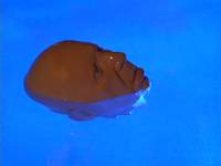 Кадр Мошенники