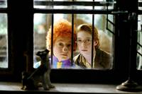 Кадр Самс в опасности