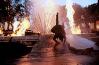 Кадр Провод под током