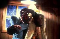 Кадр Выводок