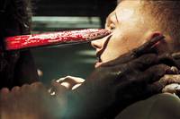 Кадр Псы-воины