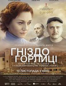 Гнездо горлицы