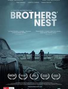 Братское гнездо