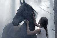 Кадр L'odeur de la mandarine