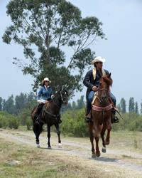 Кадр Я твоя хозяйка