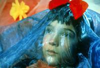 Кадр Моя жизнь в розовом цвете