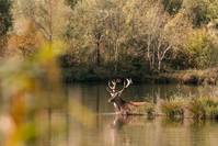 Кадр L'odeur de la mandarine