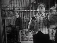 Кадр Собачья жизнь