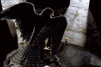 Кадр Стюарт Литтл 2