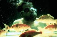 Кадр Отверженный