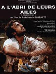 Убежище для птиц