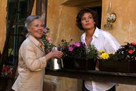 Кадр Возвращение аистов