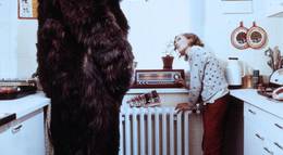 Кадр из фильма "Банановый Пауль" - 1