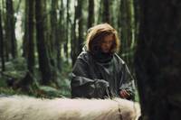 Кадр Лобстер