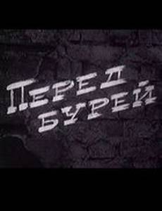 Перед бурей