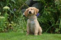 Кадр Принцы воздуха (видео)