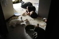 Кадр Последняя любовь на Земле 