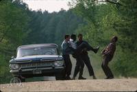 Кадр Поле любви