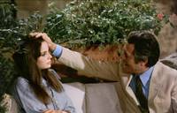 Кадр Терраса