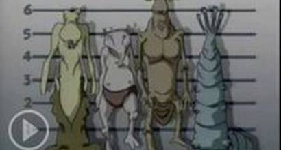 Вступительные титры