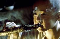 Кадр Почему Бодхидхарма ушел на Восток?